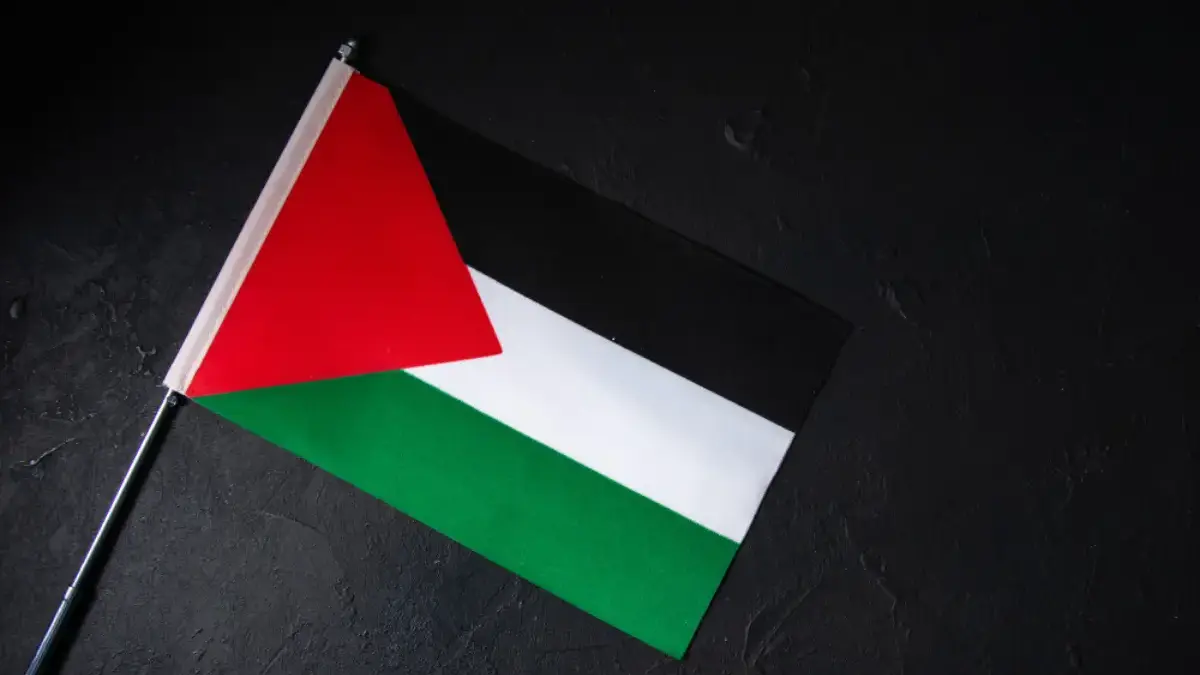 Guru di Madrid Duduki Pusat Budaya, Desak Embargo Senjata Spanyol terhadap Israel