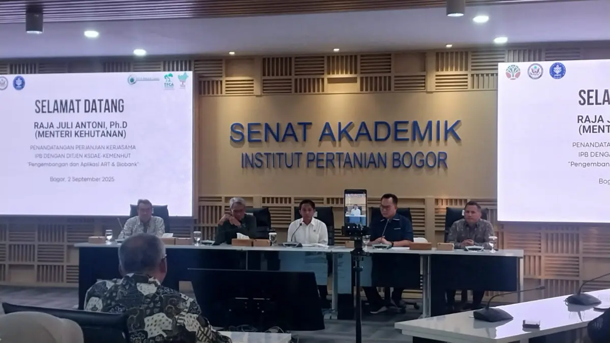 Bayi Tabung untuk Badak: Kementerian Kehutanan dan IPB Kembangkan Teknologi ART Cegah Kepunahan Kementerian Kehutanan dan IPB Kembangkan Teknologi Bayi Tabung untuk Cegah Kepunahan Badak
