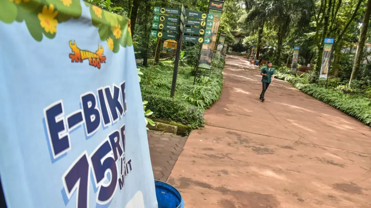Bandung Zoo: Penutupan Berdampak pada Pakan Satwa hingga Karyawan Terancam PHK Bandung Zoo: Penutupan Berdampak pada Pakan Satwa hingga Karyawan Terancam PHK