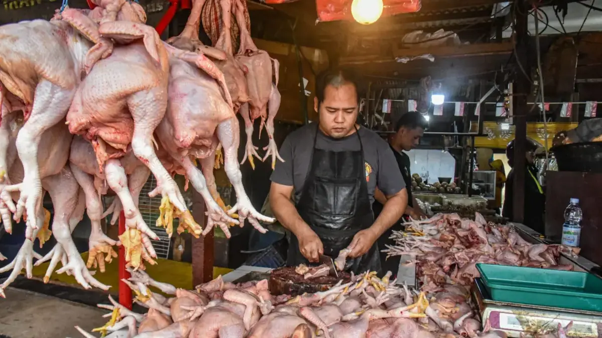 Harga Ayam Melonjak Dua Pekan, Pedagang Bandung Merugi Pedagang memotong daging ayam di salah satu kios di Pasar Ciroyom, Kota Bandung, Selasa (16/9)