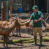 Diklaim Memiliki Dampak Serius, Humas Bandung Zoo Beberkan soal Penutupan Sementara 