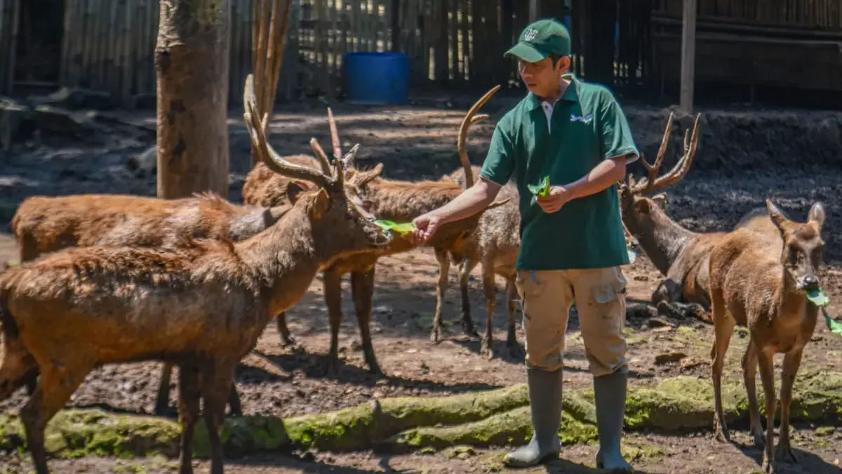 Diklaim Memiliki Dampak Serius, Humas Bandung Zoo Beberkan soal Penutupan Sementara 
