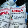 Perkuat Ketahanan Pangan Nasional, Mentan Pastikan Stok Pupuk Subsidi Aman