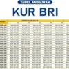 Ini Tabel KUR BRI 2025 Terbaru, Pinjaman 200 Juta dengan Cicilan 125 Ribu Cek Disini!