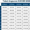 KUR BRI 2025 Pinjaman 50 Juta Cicilan 25 Ribu Saja, Cek Detail Angsurannya Disini!