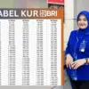 Skema Simulasi Angsuran KUR BRI 2025 Super Mikro: Pinjaman Rp100 Juta Cicilan Mulai Rp72 Ribuan