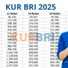 KUR BRI 2025: Pinjam Rp 50 Juta, Cicilan Super Ringan Mulai Rp 60 Ribuan
