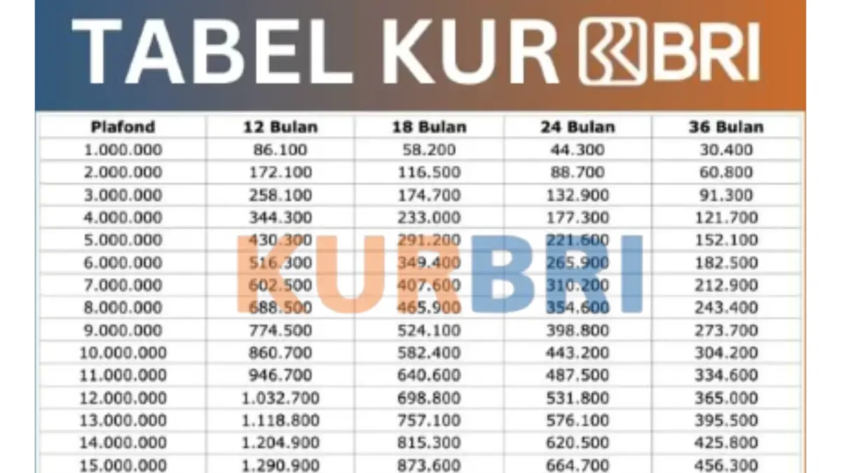 KUR BRI 2025: Pinjam Rp50 Juta, Cicilan Harian Cuma Rp45 Ribuan, Ini Syarat Lengkapnya