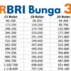 KUR BRI 2025: Pinjam Rp200 Juta dengan Bunga 3% Saja, Ini Syarat Mudahnya