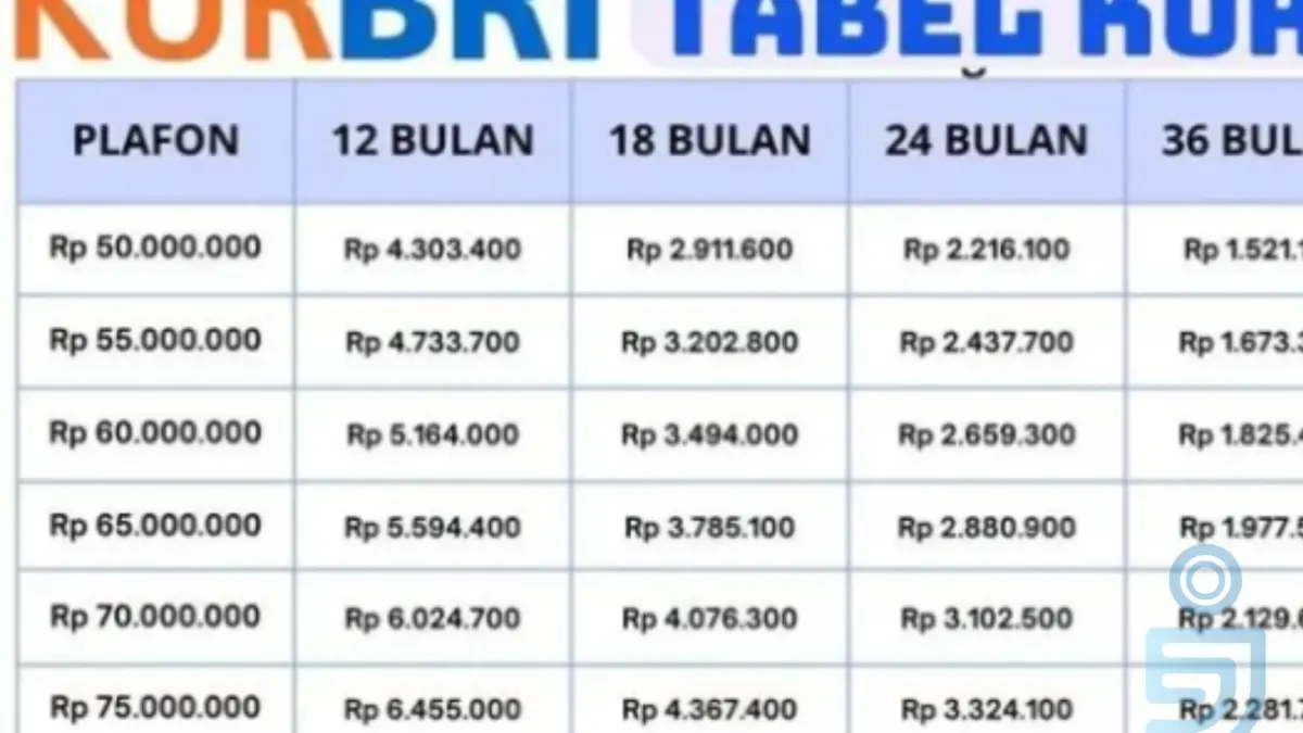 KUR BRI 2025: Pinjaman Rp50 Juta, Cicilan Super Ringan Mulai Rp50 Ribu Saja