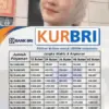 Cek Tabel KUR BRI 2025: Pinjam Rp350 Juta, Bayar Cicilan Mulai Rp213 Ribuan Saja