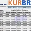 Update KUR BRI 2025 Pinjaman 50 Juta dengan Cicilan 50 Ribu, Cek Detail Angsurannya Disini!