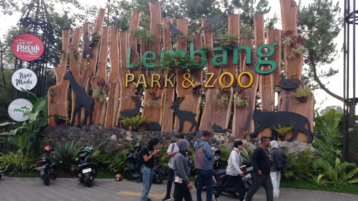 Masih Belum Ditemukan, Pencarian Macan Tutul di Lembang Terus Dilakukan Masih Belum Ditemukan, Pencarian Macan Tutul yang Lepas dari Kandang Karantina di Lembang Terus Dilakukan