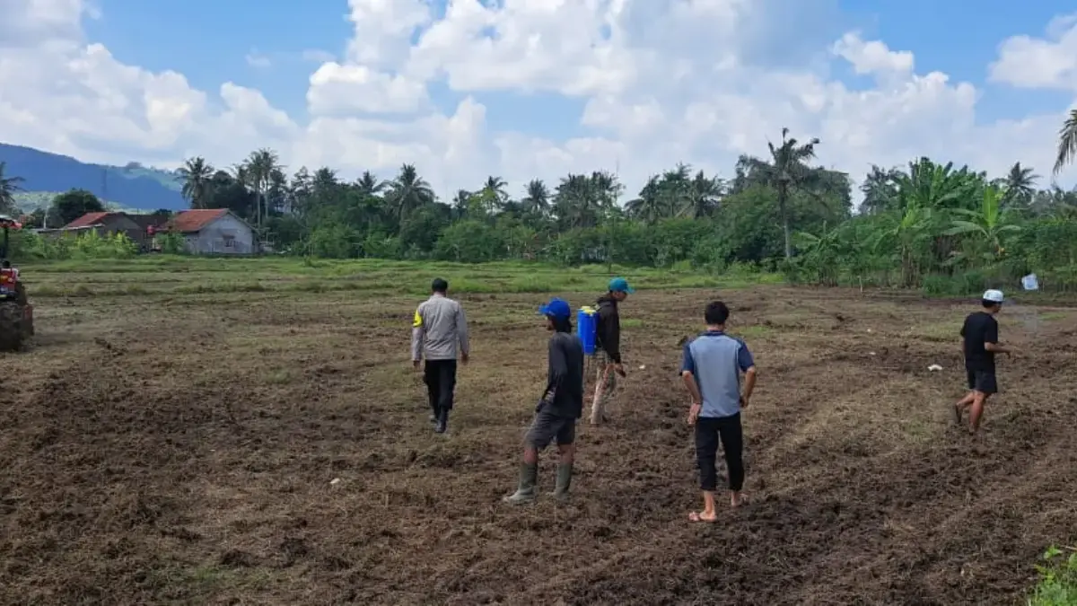 Sambut Hari Tani Nasional, Petani Milenial Banjar Jawab Tantangan Krisis Regenerasi Sambut Hari Tani Nasional, Petani Milenial Banjar Jawab Tantangan Krisis Regenerasi