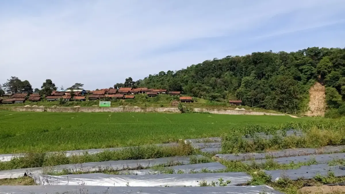 Dukung Ketahanan Pangan, Pembangunan Jaringan Irigasi Perlu Digenjot