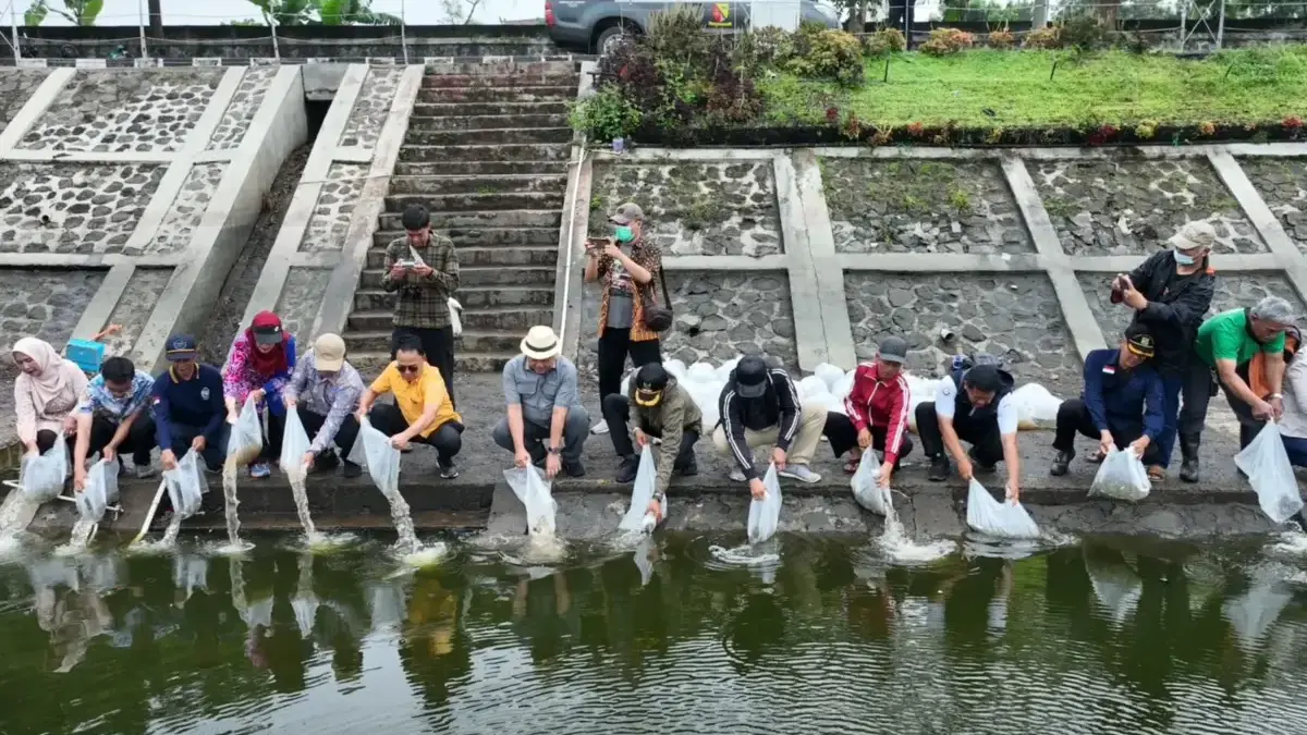 Dukung Program MBG dan Kopdes Merah Putih, Dispakan Kabupaten Bandung Tebar Ribuan Benih Ikan