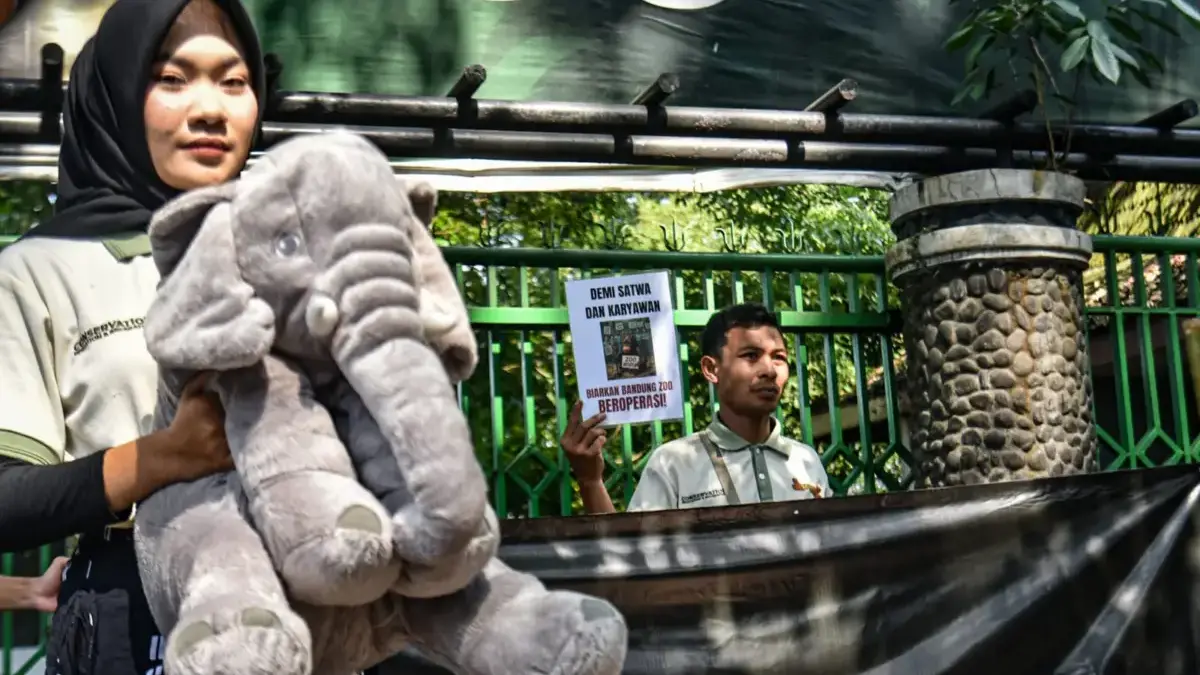 Satwa Terancam Lapar, Pegawai Bandung Zoo Tuntut Penutupan Segera Diakhiri Karyawan yang tergabung dalam Serikat Pekerja Mandiri Derenten (SPMD) membawa boneka gajah dan poster saat mel