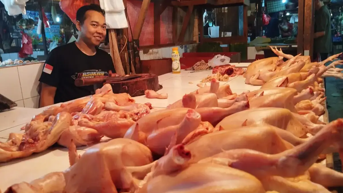 Disdagin Kabupaten Bogor Ungkap Penyebab Harga Ayam Potong Naik : Harga Pakan Mahal Disdagin Kabupaten Bogor Ungkap Penyebab Harga Ayam Naik : Harga Pakan Mahal