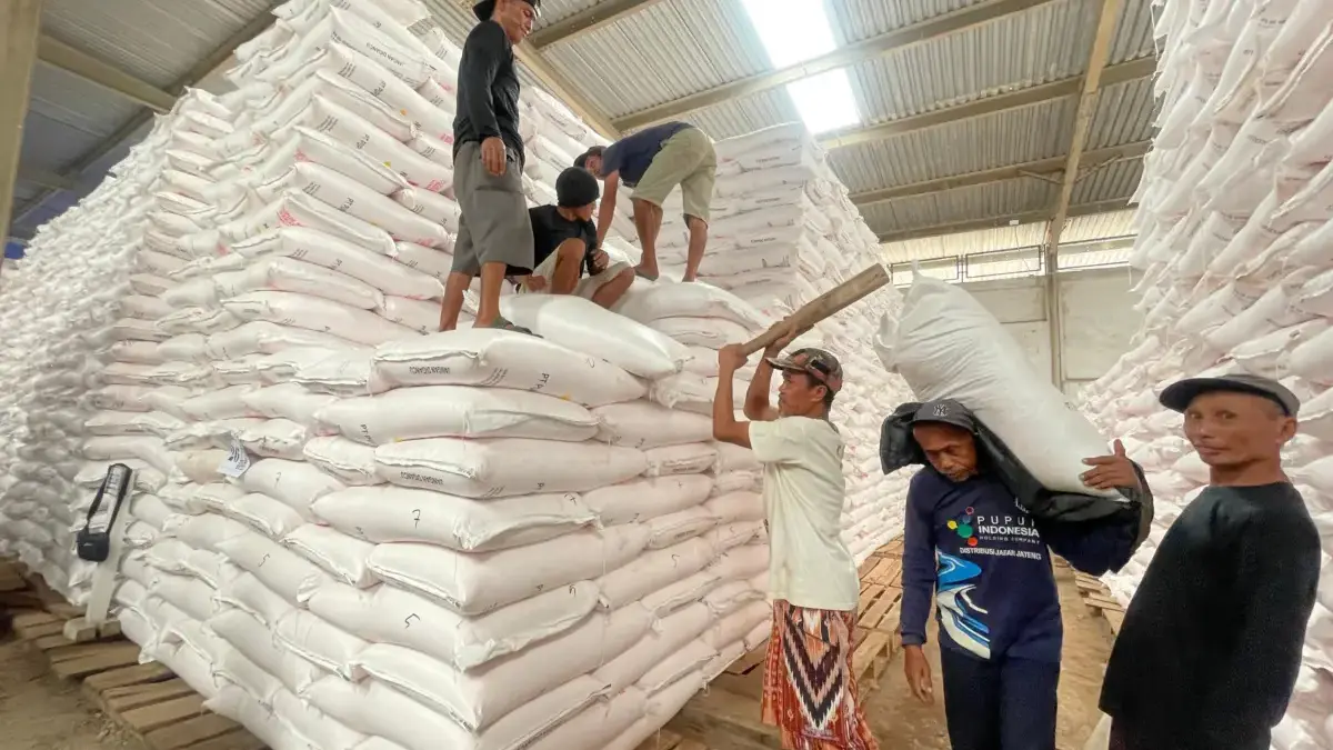 Stok Pupuk Subsidi di Bandung Raya Tetap Melimpah, Meski Serapan 50 Persen Stok pupuk subsidi di wilayah Provinsi Jawa Barat, terutama di wilayah Bandung Raya seperti Kabupaten Bandung