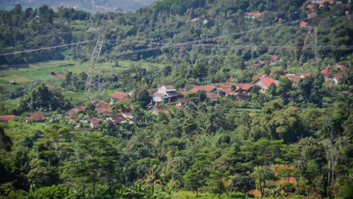 75 Desa Masuk Kawasan Hutan, Pemkab Bogor Tempuh Langkah Ini Pengrusakan Hutan dan Lingkungan di Jabar Kian Marak, FK3I: Ini Tahun Terberat!