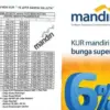 Tips Lolos Dapat Pinjaman KUR Mandiri 2025 Bagi Para Pelaku UMKM