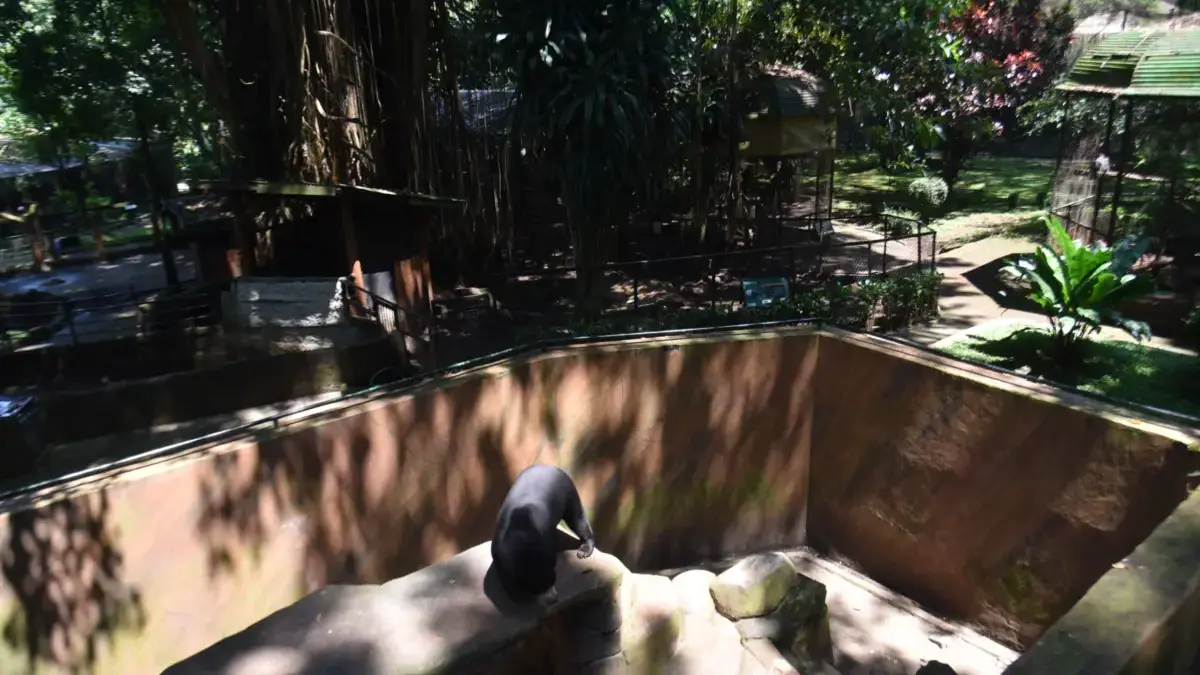 Bandung Zoo Ditutup, Farhan Sebut Selama Yayasan Berkonflik Tidak akan Dibuka Bandung Zoo Ditutup, Farhan Sebut Selama Yayasan Berkonflik Tidak akan Dibuka