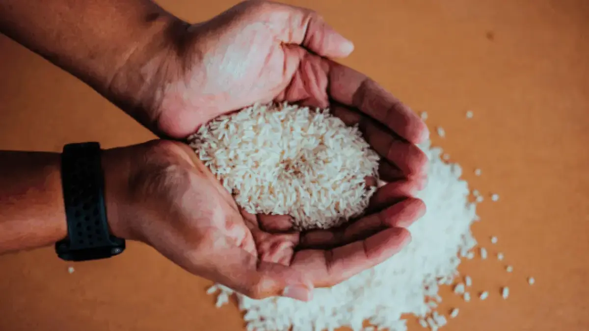 Bantuan Beras 10kg 2025 Kapan Cair? Begini Info Terbarunya! Bantuan Beras 10kg 2025 Kapan Cair? Begini Info Terbarunya!