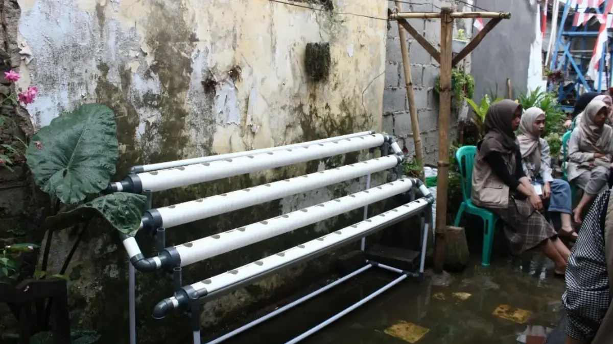 Hadirkan Pertanian Modern, Mahasiswa KKN UBK Ajak Warga Desa Nanjung Bercocok Tanam Hidroponik