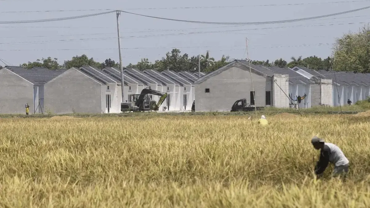 Menteri PKP Siapkan Skema Baru Rumah Subsidi untuk Warga Kota Menteri PKP Siapkan Skema Baru Rumah Subsidi untuk Warga Kota