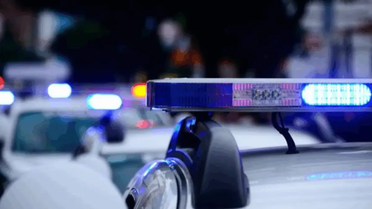 Viral Muncul Gerakan 'Stop Tot Tot Wuk Wuk', Apa Maksudnya? Viral Muncul Gerakan \'Stop Tot Tot Wuk Wuk\', Apa Maksudnya?