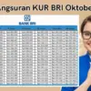 Intip Tabel Angsuran KUR BRI Oktober 2025, Pinjaman Rp150 Juta Cicilan Rp400 Ribuan untuk Kamu