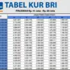 Angsuran KUR BRI 60 Juta Cicilan 50 Ribu, Cek Detailnya Disini!