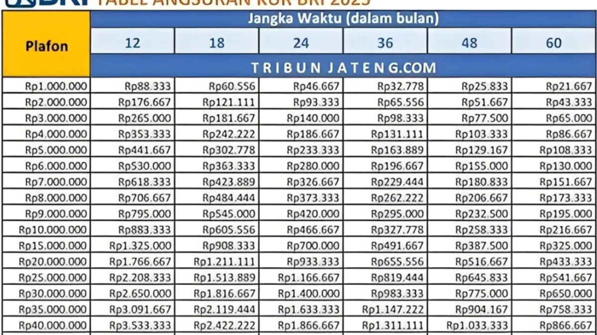 Simulasi KUR BRI 2025 Pinjaman Rp80 Juta dengan Cicilan Rp35 Ribu, Cek Rinciannya di Sini! Simulasi KUR BRI 2025 Pinjaman Rp80 Juta dengan Cicilan Rp35 Ribu, Cek Rinciannya di Sini!