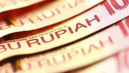 Detail Simulasi Tabel KUR Mandiri 2025 Angsuran Rp50 Juta: Cicilan dan Bunganya Ringan! Foto uang.