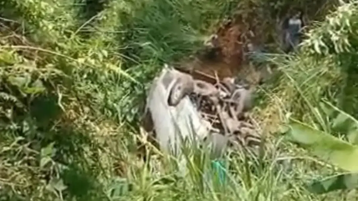 Rem Blong, Mobil Elf Rombongan Besan dari Bogor Masuk Jurang di Lampung: 2 Tewas, 8 Luka-Luka Rem Blong, Mobil Elf Rombongan Besan dari Bogor Masuk Jurang di Lampung: 2 Tewas, 8 Luka-Luka