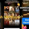Apakah Benar Aplikasi Free Drama Terbukti Menghasilkan Uang dan Aman Digunakan? Ini Faktanya