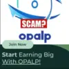 Benarkah Aplikasi Opalp Exchange Trading Crypto Penghasil Uang? Ini Faktanya
