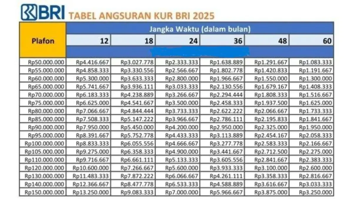 KUR BRI 2025 Pinjaman 45 Juta dengan Cicilan 25 Ribu Cek Detail Angsurannya Disini!