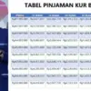 Simulasi Pinjaman KUR BRI 2025 Terbaru Bunga Cuma 3%, Cicilan Mulai Rp20 Ribuan, Ini Syarat Pengajuannya