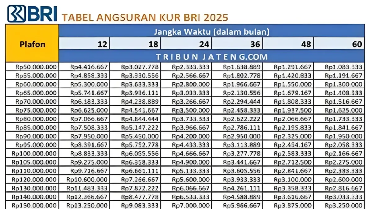 KUR BRI 2025 untuk UMKM: Plafon Rp300 Juta dengan Cicilan Harian Rp200 Ribuan KUR BRI 2025 untuk UMKM: Plafon Rp300 Juta dengan Cicilan Harian Rp200 Ribuan