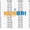Update KUR BRI Oktober 2025: Pinjaman Rp100 Juta, Cicilan Super Ringan Bunga 3%