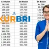 Simulasi Pinjaman KUR BRI Rp150 Juta Tahun 2025, Cicilan Mulai Rp100 Ribuan