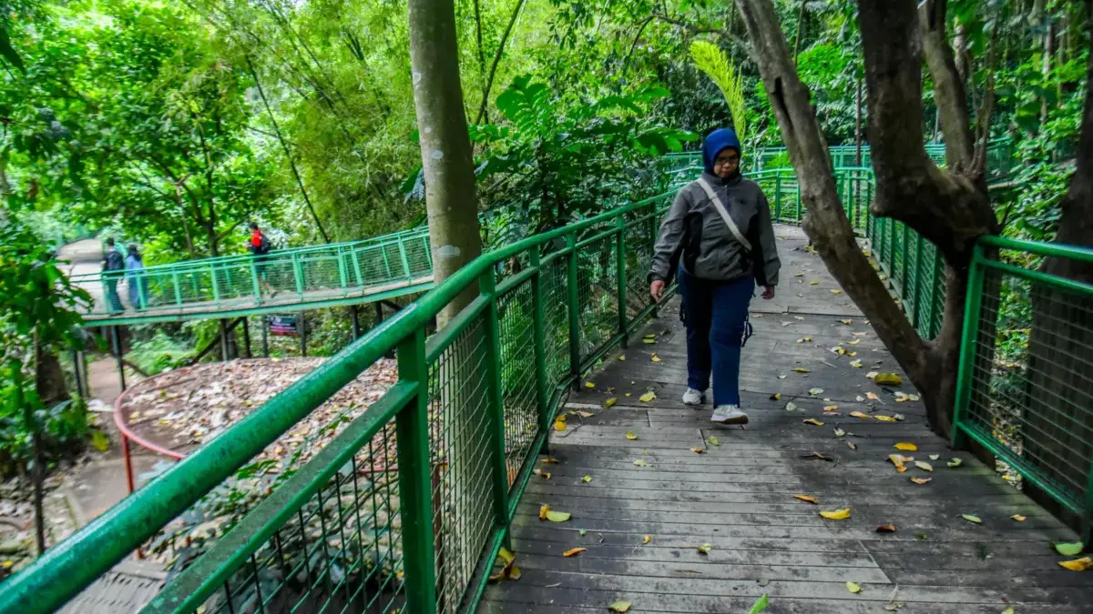 Pemkot Bandung Pastikan Hutan Kota Babakan Siliwangi Dibuka Secepatnya Pengunjung berjalan di Hutan Kota Babakan Siliwangi, Kota Bandung, Senin (29/9). Dinas Perumahan dan Kawasan P