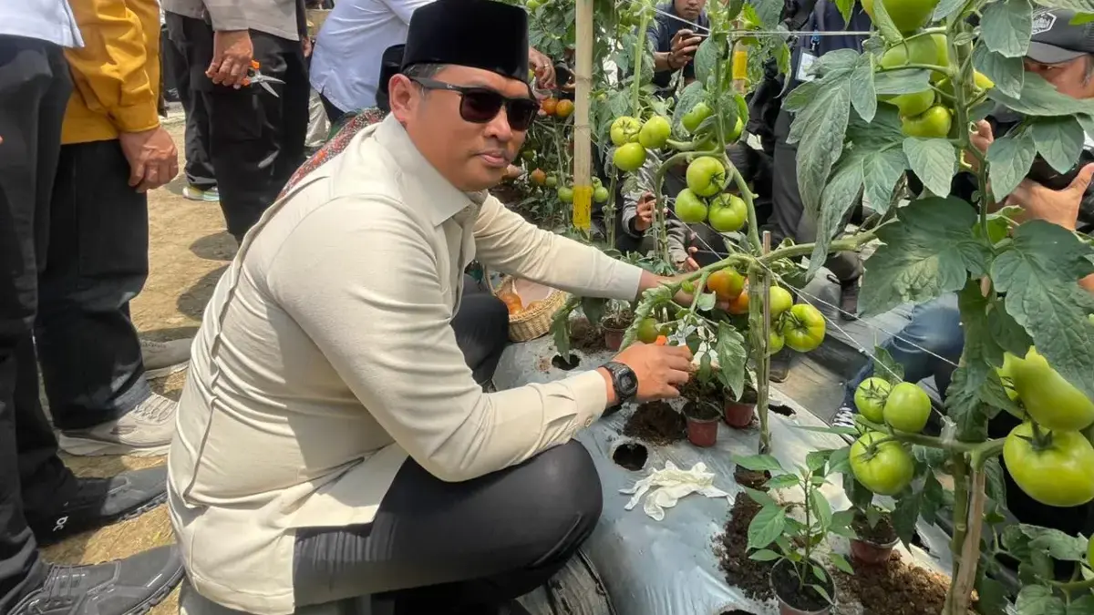 Wamentan Apresiasi Ponpes Al Ittifaq, Integrasi Pendidikan dan Agribisnis Bisa Jadi Percontohan Nasional Wamentan Apresiasi Ponpes Al Ittifaq, Integrasi Pendidikan dan Agribisnis Bisa Jadi Percontohan Nasional