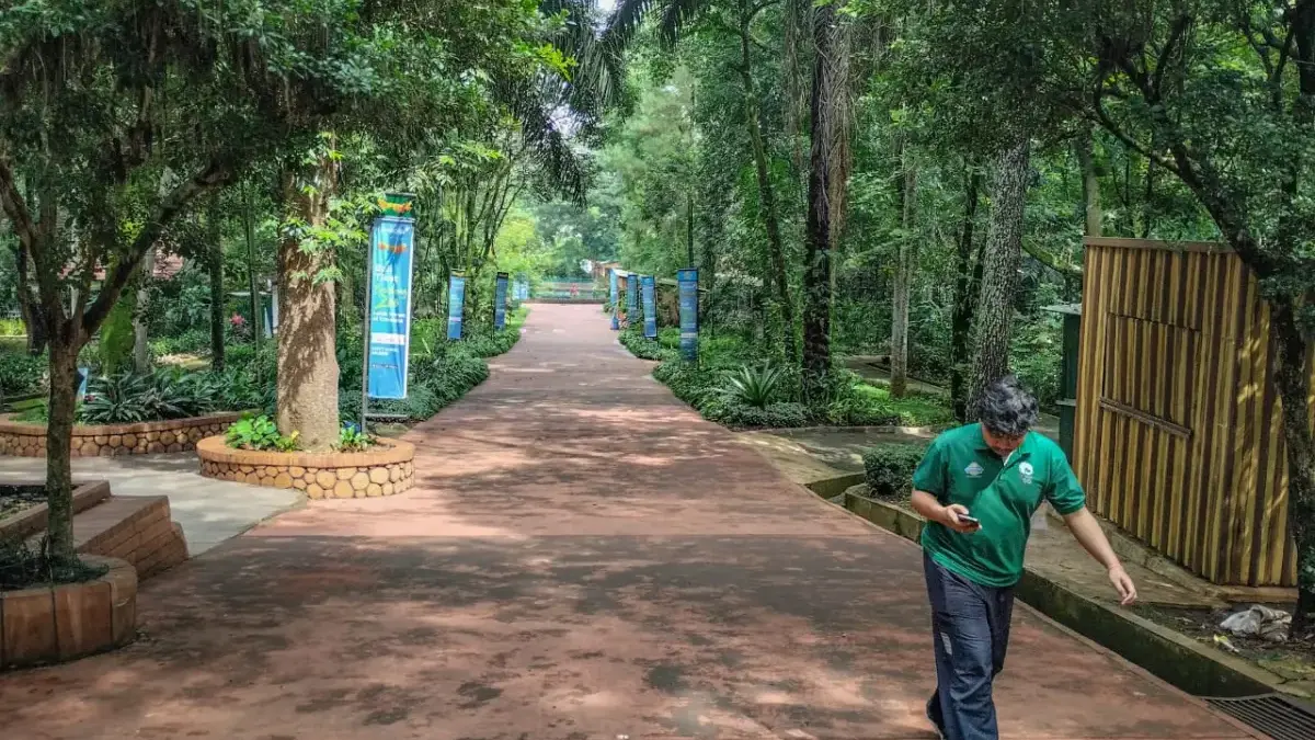 Petugas Bandung Zoo berjalan di area Kebun Binatang Bandung yang masih ditutup sementara waktu. Foto: Dimas Ra