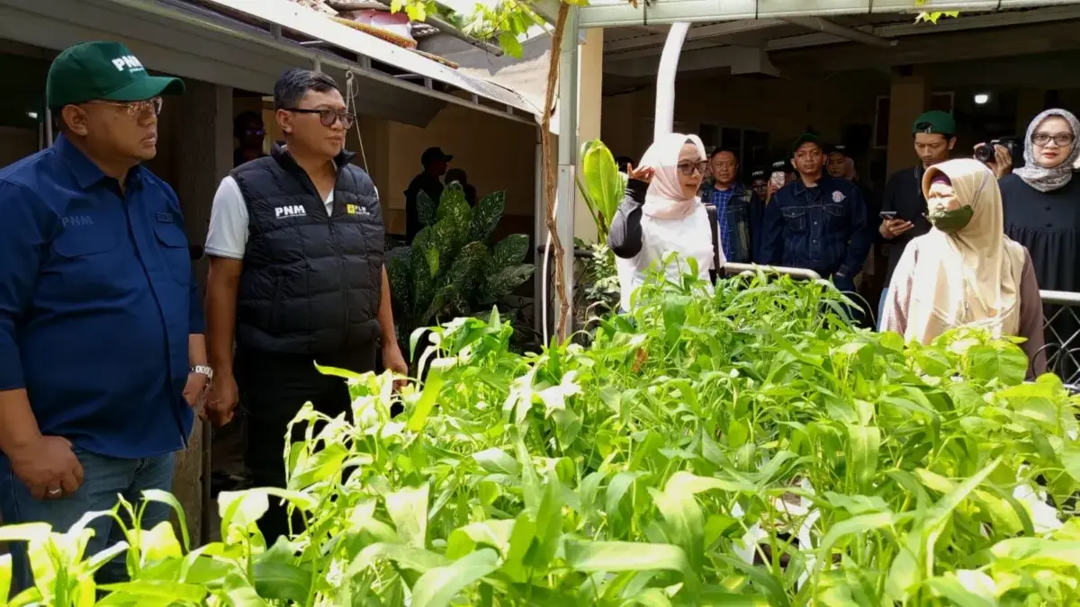 PLN Icon Plus dan PNM Ajari Lansia Panti Sosial Bakti Pertiwi Bandung Hidroponik