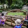 Penuhi Tuntutan Kurikulum Sekolah, Bandung Zoo Dibuka Kembali