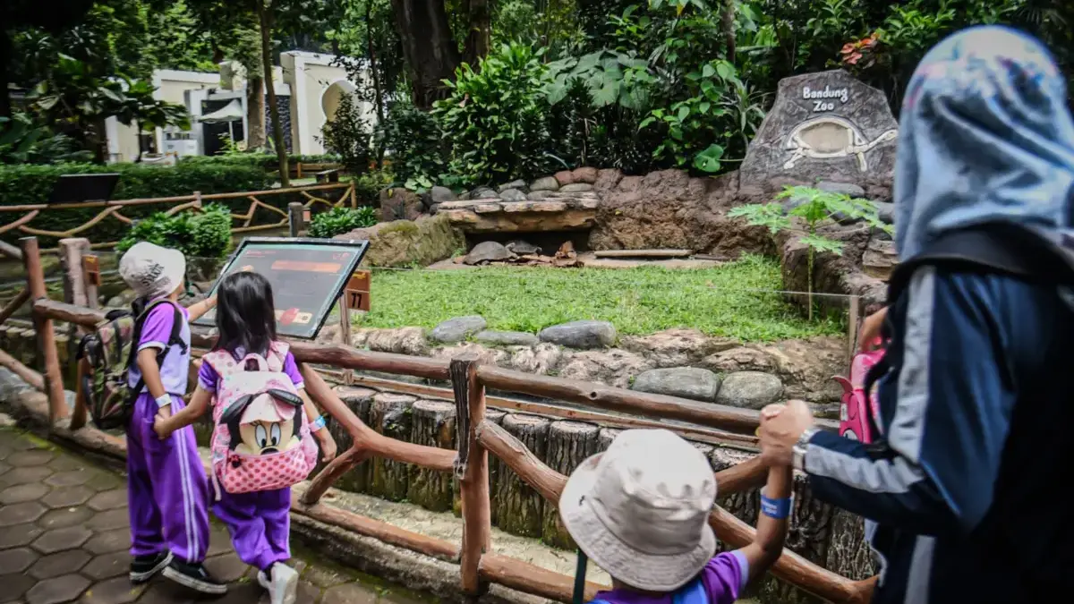 Penuhi Tuntutan Kurikulum Sekolah, Bandung Zoo Dibuka Kembali