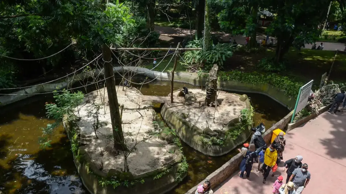 Sempat Dibuka 2 Hari, Kunjungan Bandung Zoo Capai Seribu Orang