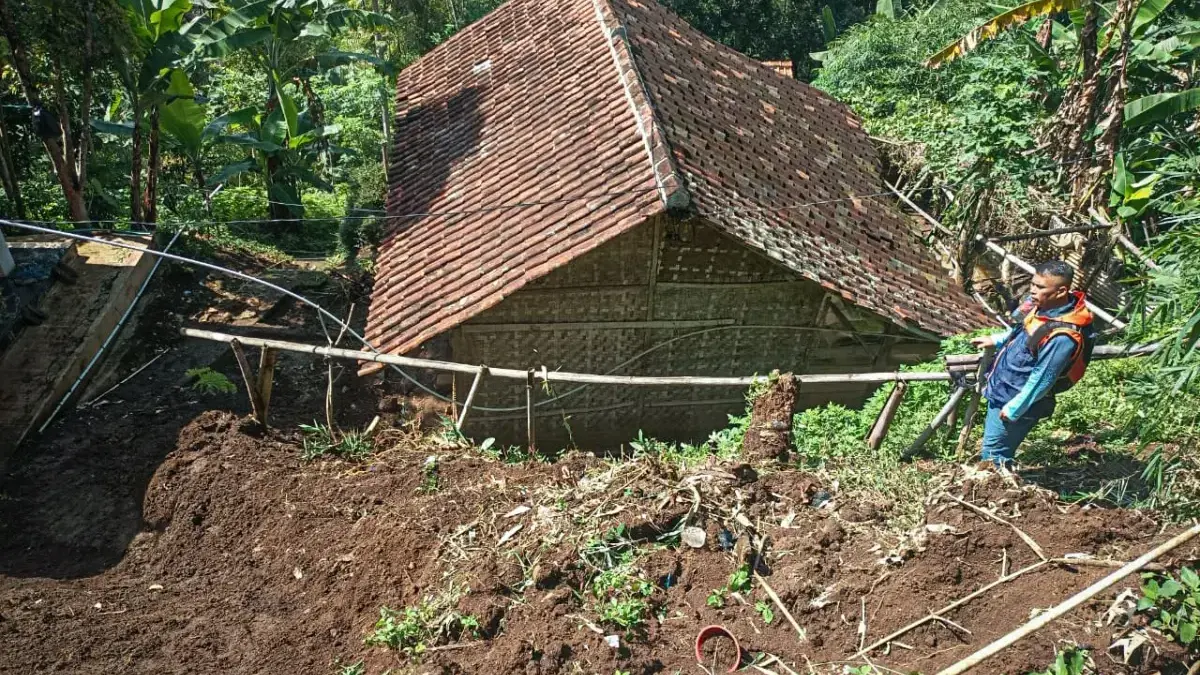 Hujan Deras Picu Longsor di Cimangu Ngamprah, 3 Rumah Rusak Petugas BPBD Kabupaten Bandung Barat meninjau lokasi bencana longsor di Desa Cimanggu, Kecamatan Ngamprah. Rab